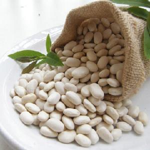Chinese Cheap price White Kidney Beans for sale