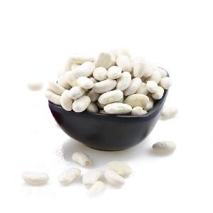 Chinese large size long types of White Kidney Beans dry with Free  sample s