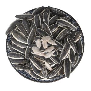 Sunflower seeds for Egypt  Sunflower seeds on sale  Top quality sunflower seeds