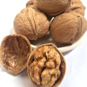 Best quality walnut  Top grade walnut  Factory supply walnut