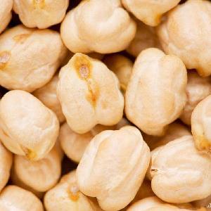 Wholesale Export Chickpeas from China with lost price