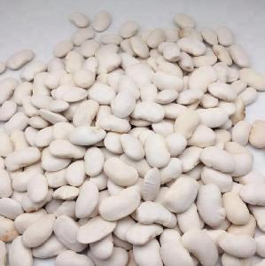 Good Quality and Best Factory Direct  White   Kidney   Bean s  Price  for Sale