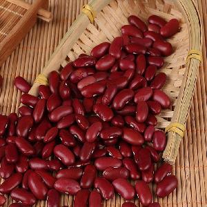Chinese Dried Red Kidney Beans with Big Size