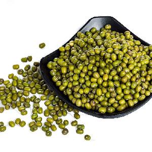 Supply green  mung  beans  seeds  3.2mm to 3.8 mm size of green  mung  beans