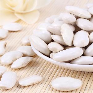 Best quality navy white kidney beans