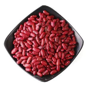 China factory wholesale healthy light red kidney beans