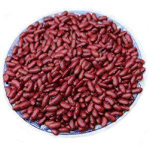 China factory sell  light   red   kidney   bean s price per ton