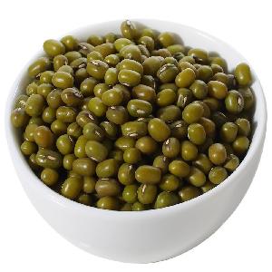 China wholesale new crop dried green mung bean with competitive price