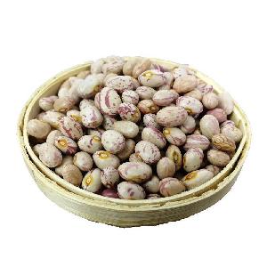 Chinese LSKB light speckled kidney bean with good price