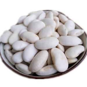 New crop price of white kidney bean from china to export