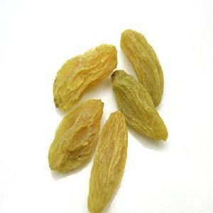 Bulk green seeded raisin dry raisin from China Xinjiang