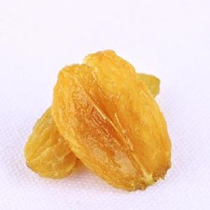 China xinjiang supply golden raisins in bulk sale to export