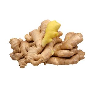 Best selling air dried unspoiled  ginger  in wholesale shandong china