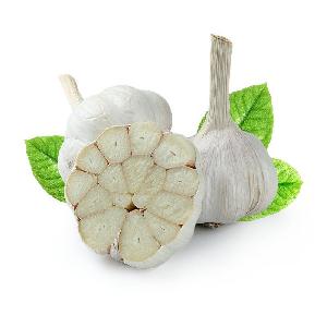 Chinese factory   pure white and normal white garlic  in vacuum packed