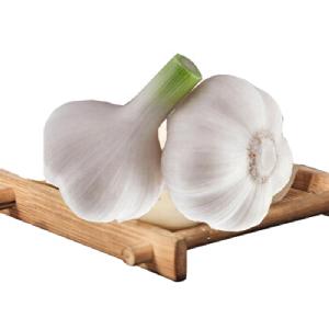 Wholesale fresh pure white garlic with cheap price