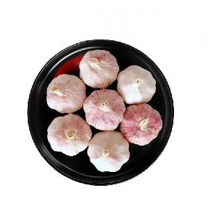 World top normal white garlic with low price and good quality