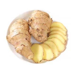 Best of quality fresh organic yellow color ginger with good price