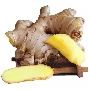 Wholesale Yellow color fat ginger from Chinese Shandong