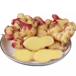 Perennial processing air dried ginger fresh from shandong factory