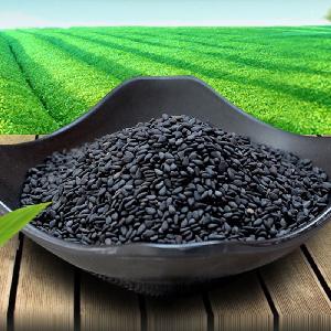 Competitive price Premium quality Natural, Hulled   Black Sesame Seeds