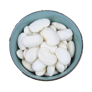  White   Kidney   Beans  Long and  Round  shape with high quality and lowest price