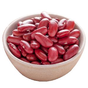 2019 good color red Kidney Beans long shape for sale