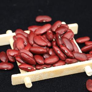 Good quality AAAA grade dry dark red kidney beans for sale