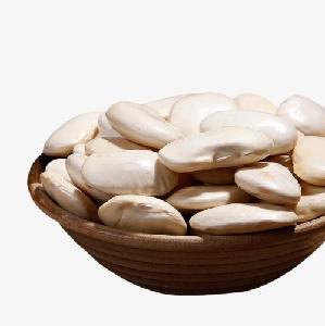 Hot selling of white kidney beans to export  with cheap price