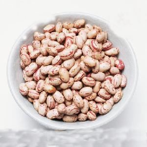 Chinese new crop organic light speckled kidney beans in bulk