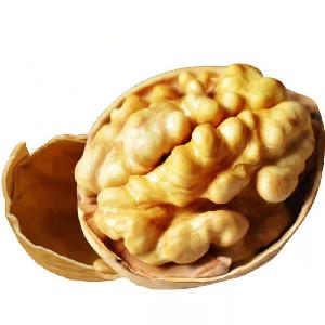 Wholesale bulk xinjiang walnut  kernels  with free sample to  export 
