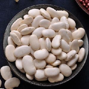 Fresh Crop Premium Quality Large White Kidney Beans