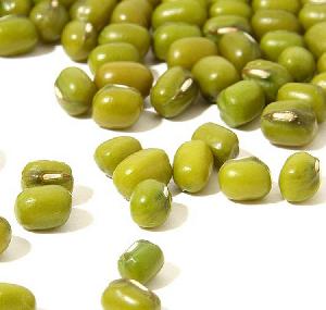 New Crop Premium High Quality Green Mung Bean For Sale