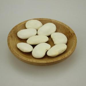 Factory wholesale Large White Kidney Beans wiht good price