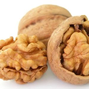 Chinese good quality walnuts  Good taste walnut kernel  Walnuts in Russia