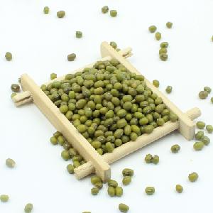 Good Quality Wholesale Big Size New Crop Price of Green Mung Beans