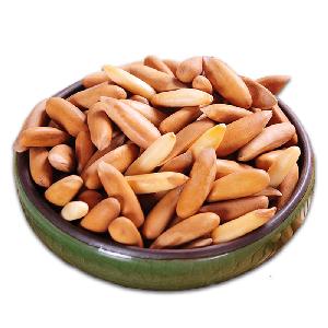 Chinese High Quality Pine Nut Kernels