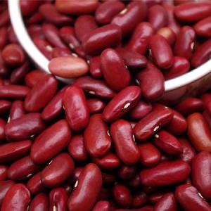 AD drying process dark red kidney beans ,Kidney beans specifications , Canada kidney beans
