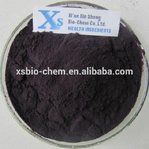 GMP Standard High Quality Natural anthocyanidins/anthocyanins Bilberry Extract
