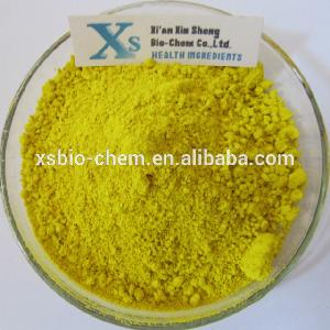 Hight Quality GMP standard Natural Black Pepper Extract Piperine