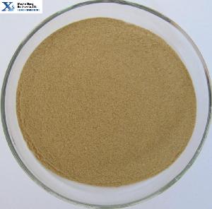 High Quality GMP Natural Sea buckthorn Extract