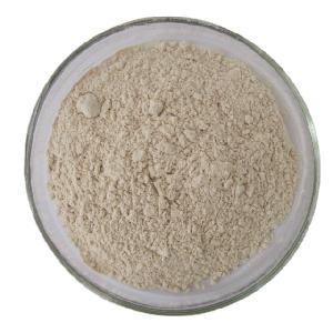 High Quality GMP Kosher Natural Wheat germ Powder