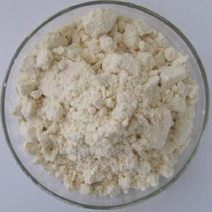 GMP standard High Quality Yogurt Powder