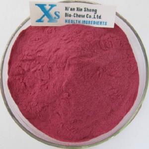 High Quality GMP standard Natural Acai berry Powder