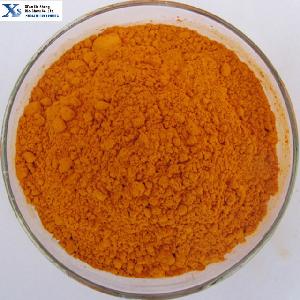 High Quality GMP Standard  Turmeric  root Extract