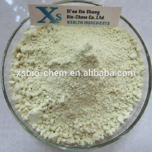 High Quality GMP Natural  Hydrolyzed   Wheat   Protein  Powder