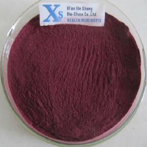 GMP standard Natural  Blueberry   Powder 