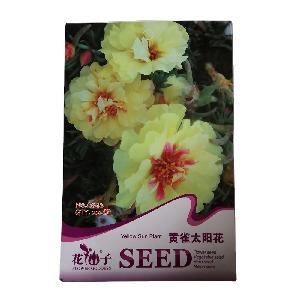 yellow sun plant seeds with small flower seeds bags $0.59/bags