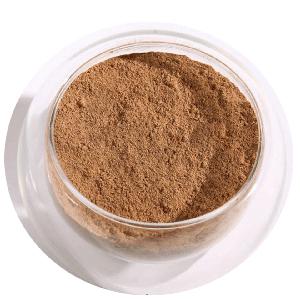 Touchhealthy supply  Water  soluble champignon chaga  mushroom  extract powder