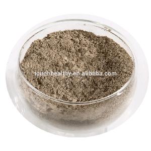 Touchhealthy supply natural Gingerols 10% 15% 20% Ginger extract