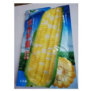 White sweet maize hybrid seeds for planting with good package from seeds research